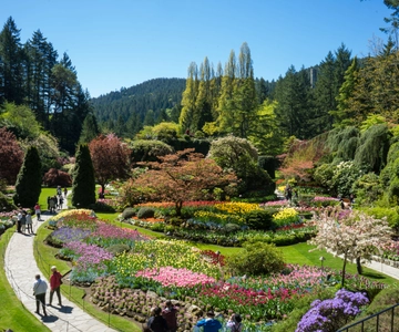 From Vancouver: Butchart Gardens & Victoria Sightseeing Tour