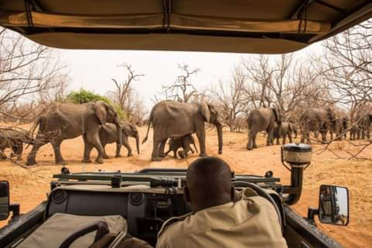 Safari à dos de rhinocéros