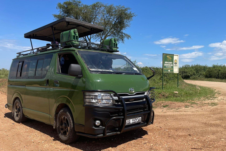 4 Days Queen Elizabeth Park Safari & Ruwenzori Mountain View