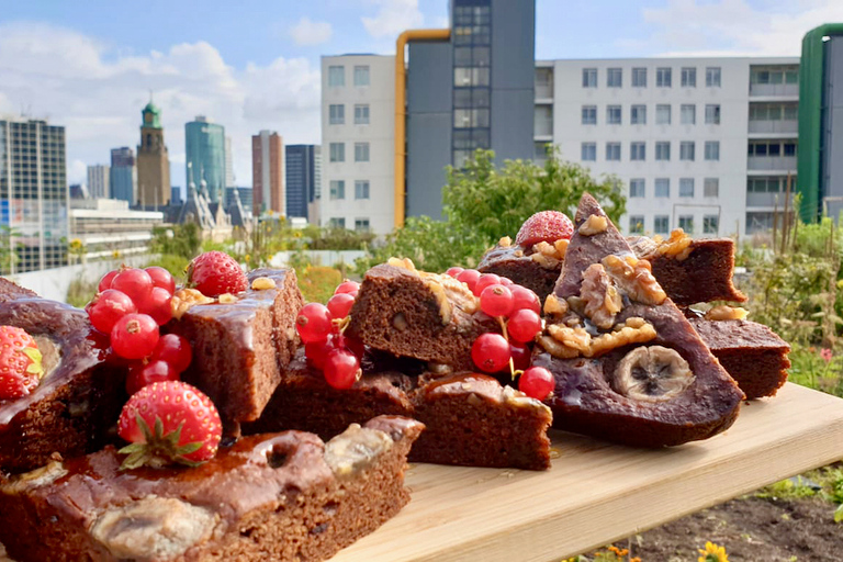 Rotterdam: Recorrido gastronómico en bicicletaTour en inglés