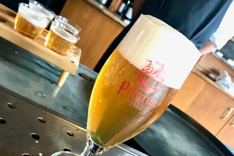 Rotterdam: tour de cervecerías y taxi acuático