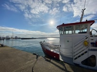 Poole Harbour Lights Cruise - Housity