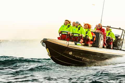 Å i Lofoten: Crab Safari by RIB Boat with Fresh Soup
