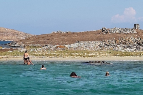 Depuis Mykonos : croisière d'une journée à Rhénée et Délos