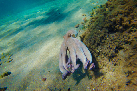 Cabo de Gata: Wycieczka ze spływem kajakowym i nurkowaniem