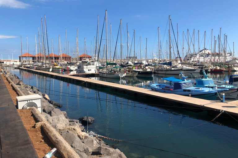 De Tenerife : visite guidée à La Gomera avec billet de ferry