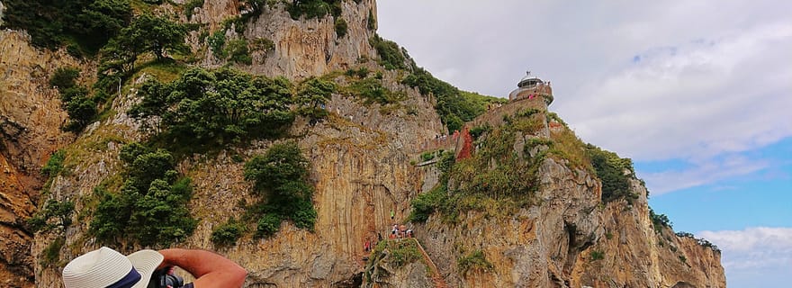 Santoña : Visite de l'usine d'anchois et tour en bateau