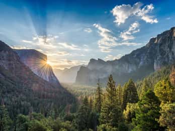 Ab San Francisco: Tour zum Yosemite Park in kleiner Gruppe Ab San Francisco: Tour zum Yosemite Park in kleiner Gruppe