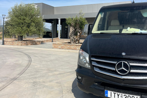 Katakolo: Olympia Tour, Olive Grove & Greek Cooking