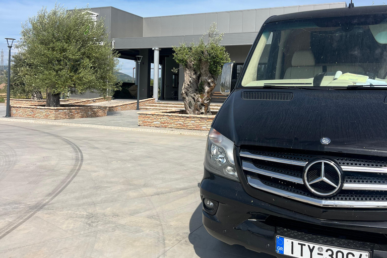 Katakolo: Olympia Tour, Olive Grove & Greek Cooking