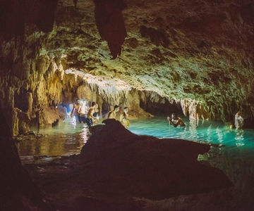 From Riviera Maya: Snorkeling & Private Cenote Half-Day Tour