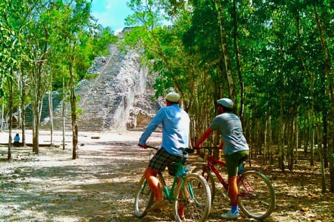 Punta Laguna and Coba Day Trip