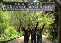 From San Francisco, Muir Woods and Sausalito Half-Day Trip - Housity
