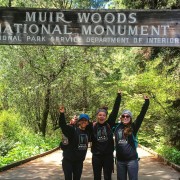 Ab San Francisco: Muir Woods & Sausalito - Halbtagestour