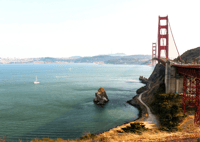 From San Francisco, Muir Woods and Sausalito Half-Day Trip - Housity