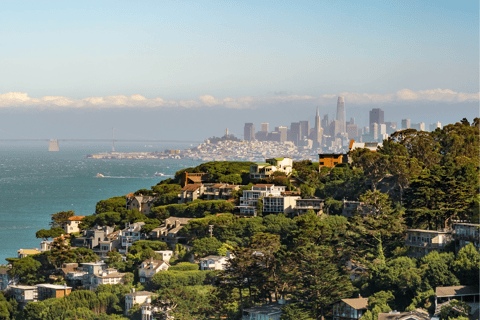 De São Francisco: Excursão Meio Dia a Muir Woods e Sausalito