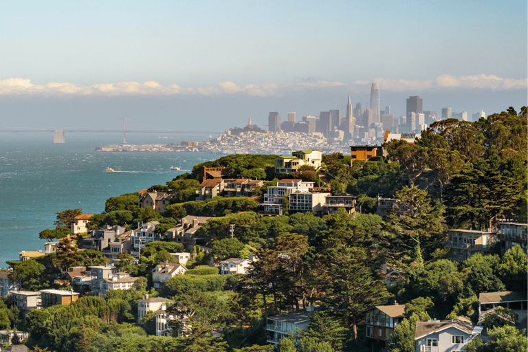 De São Francisco: Excursão Meio Dia a Muir Woods e Sausalito