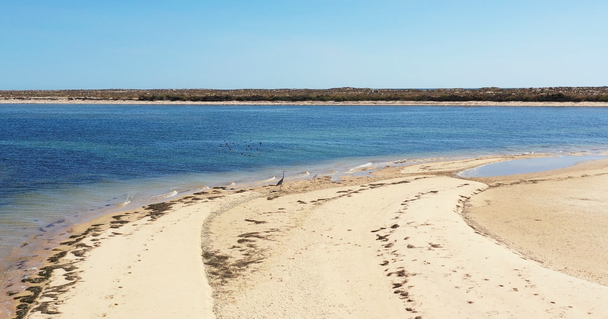 Von Olhão aus Ria Formosa 3Inseln Tagestour GetYourGuide