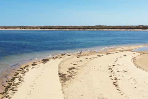 Z Olhão: całodniowa wycieczka po 3 wyspach Ria Formosa