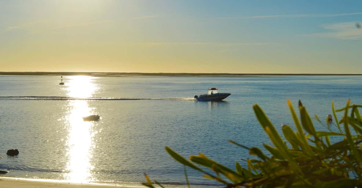 From Olhão: Ria Formosa Full-Day 3-Island Tour