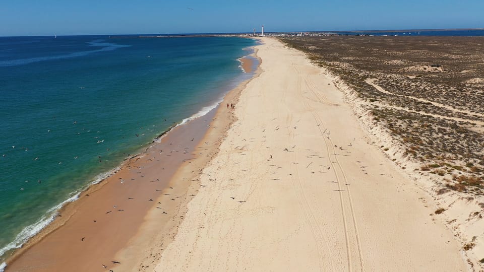 Excursão de barco pelas Ilhas Ria Formosa, Armona e Culatra - Hizvo