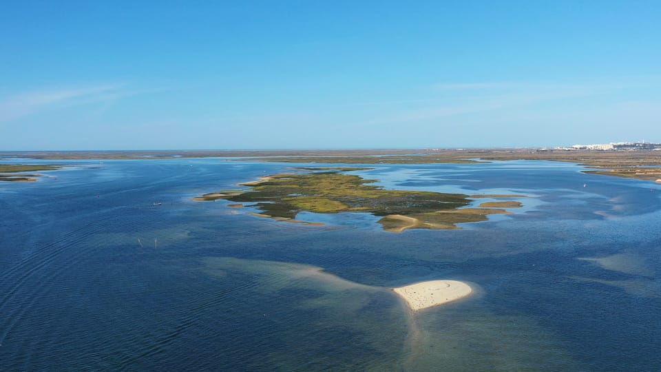 Ria Formosa: Armona and Culatra Islands Boat Tour | GetYourGuide