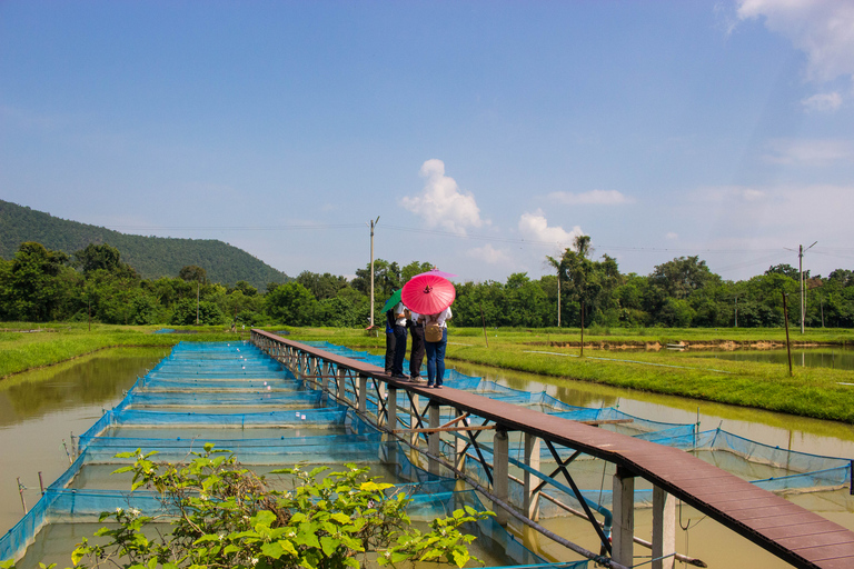 Esplorazione del villaggio locale di Chiang Mai con esperienza di tessituraTour Privato