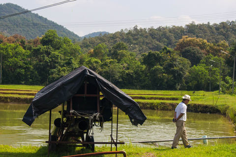 Aldeia local de Chiang Mai explorando com experiência em tecelagemTour Privado