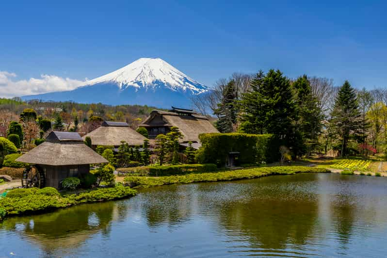 From Tokyo: Full-Day Mount Fuji Tour with Lunch | GetYourGuide