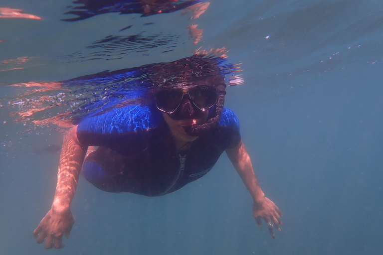 Snorkeling in the corals of Porto da Barra Beach (free diving)