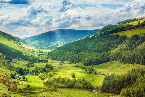 From Dublin: Glendalough and Wicklow Mountains Guided Trip