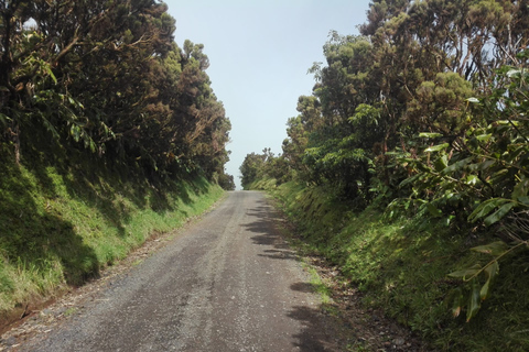 From Ponta Delgada: Sete Cidades Walk, Tasting and Kayaking