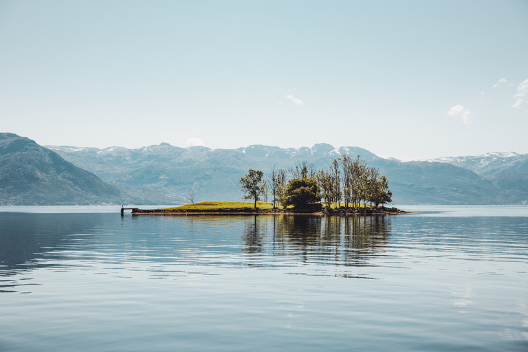 Øystese: Hardangerfjord RIB-safari till FyksesundgrenenRIB-båtstur