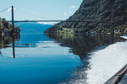 Øystese : safari en semi-rigide dans le Hardangerfjord jusqu'à l'embranchement de FyksesundVisite en bateau pneumatique