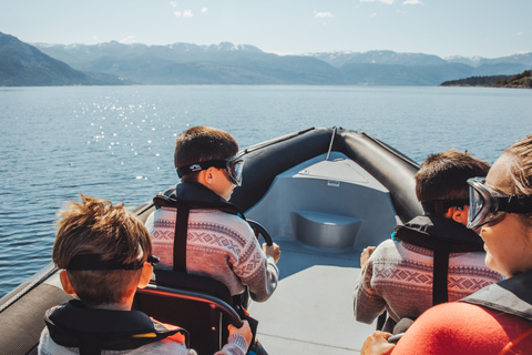 Øystese: safari in RIB nell&#039;Hardangerfjord fino al ramo di FyksesundGiro in gommone