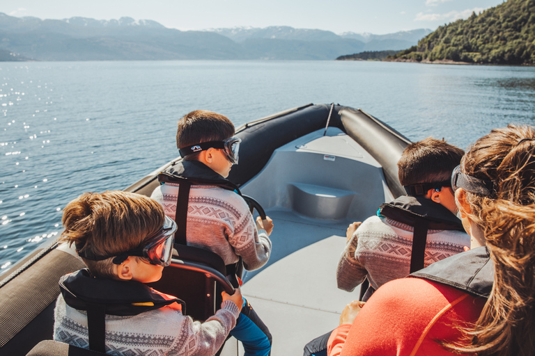 Øystese: Hardangerfjord und Fyksesund RIB Fjord Abenteuer