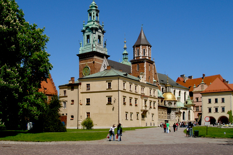 Krakau: rondleiding kasteel Wawel en kathedraalWawel-kasteel en rondleiding door de kathedraal