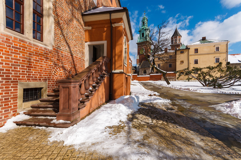 Cracovia: Visita guiada al Castillo y la Catedral de WawelVisita guiada al Castillo y la Catedral de Wawel