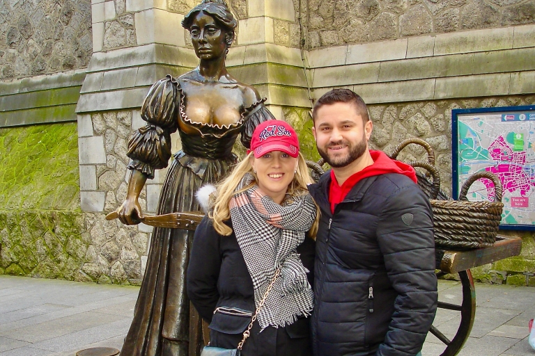 Must See Dublin in a Day4 uur durende tour