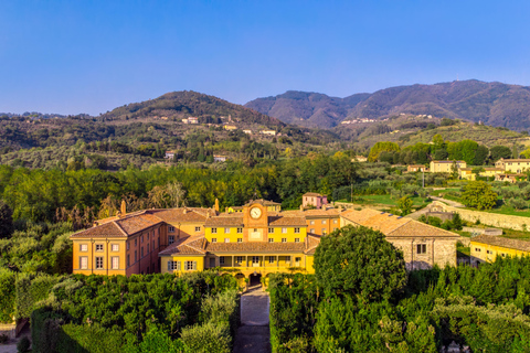 Villa Reale di Marlia Entrance Ticket