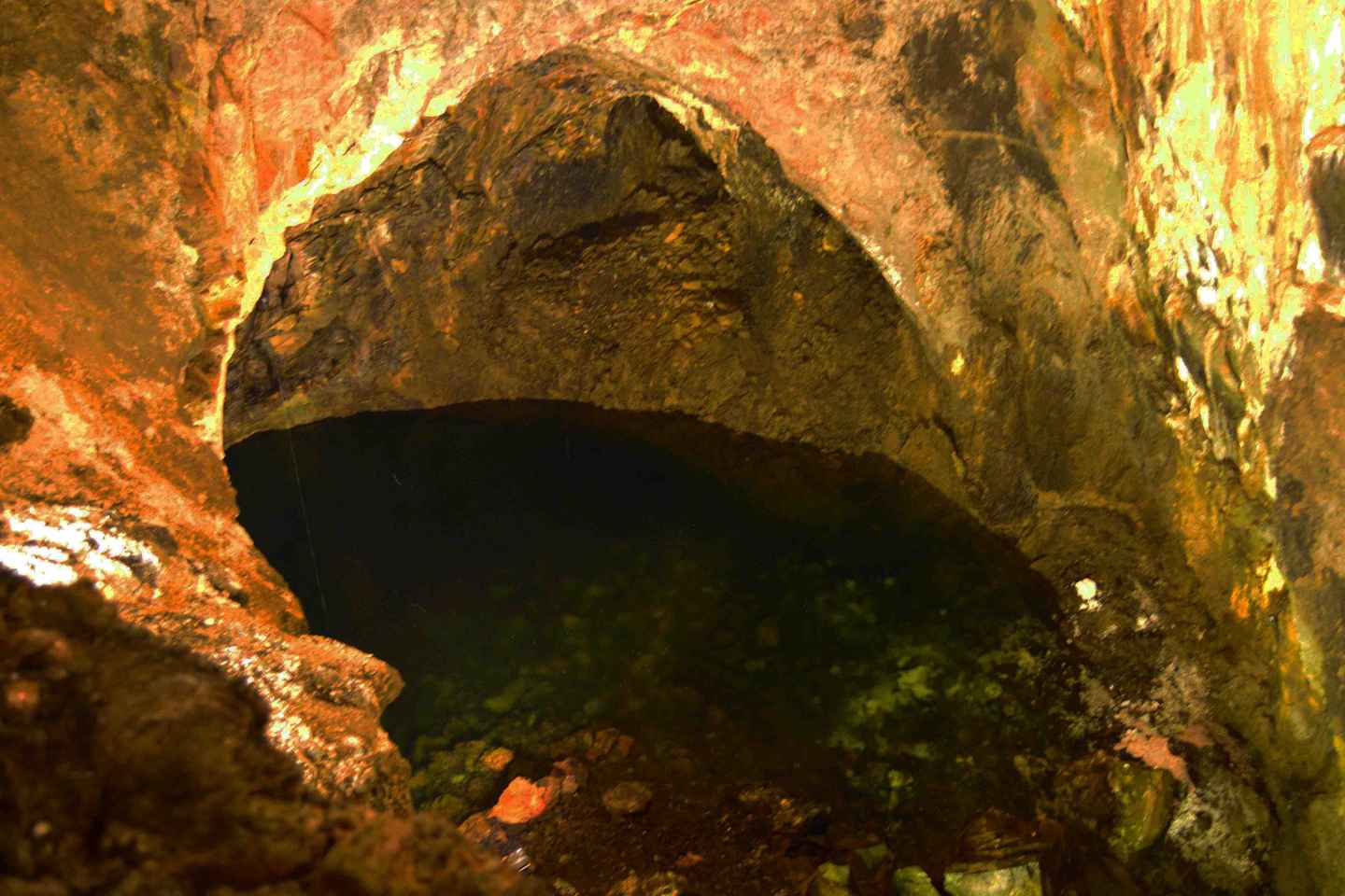 特塞拉岛半日游：享美味奶酪