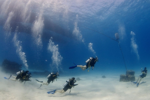 Cairns: 4-Day PADI Open Water Course