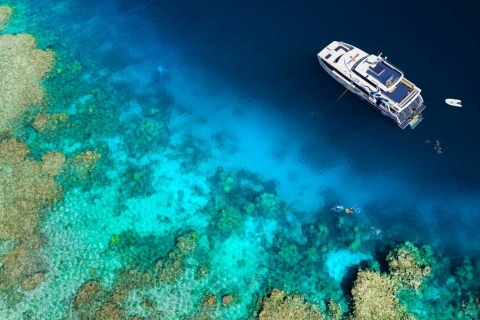 Cairns: 4-tägiger PADI Open Water Kurs