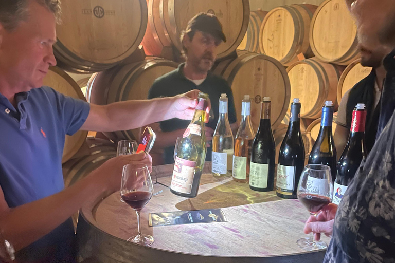 Private Rhône-Tal Wein Tour