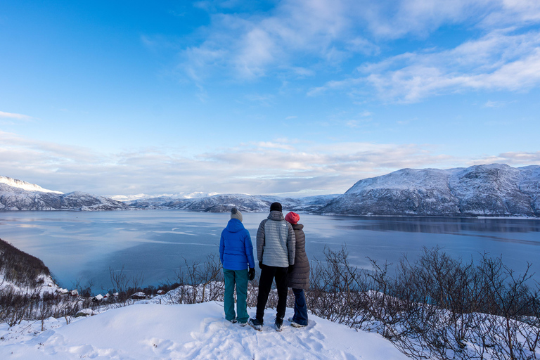 Tromsø: Senja Fjord & Landscape Tour in Chinese Small-Group