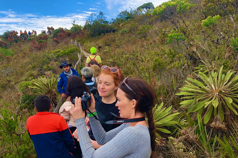 The Guatavita Legend: El Dorado and its mysteries The Legend of Guatavita: El Dorado and its mysteries