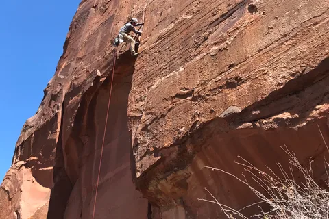 From Springdale: Half-Day Rock Climbing Experience