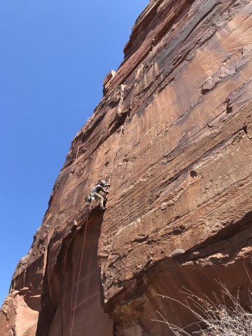 Visit From Springdale Half-Day Rock Climbing Experience in Zion National Park