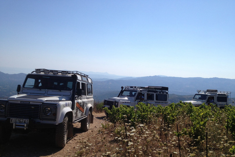 Private Exclusive Manousakis Winery and Vineyard Tour
