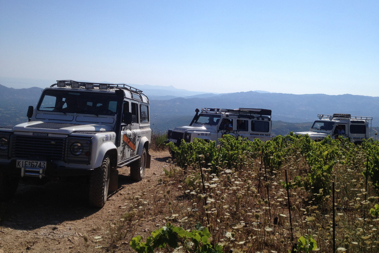 Private Exclusive Manousakis Winery and Vineyard Tour